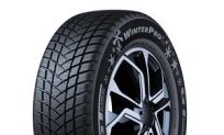 GT Radial Winterpro 2 (evo)